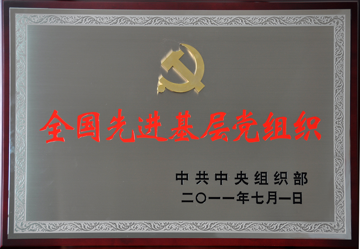 2011年7月，紅豆集團(tuán)黨委榮獲“全國(guó)先進(jìn)基層黨組織”稱號(hào)